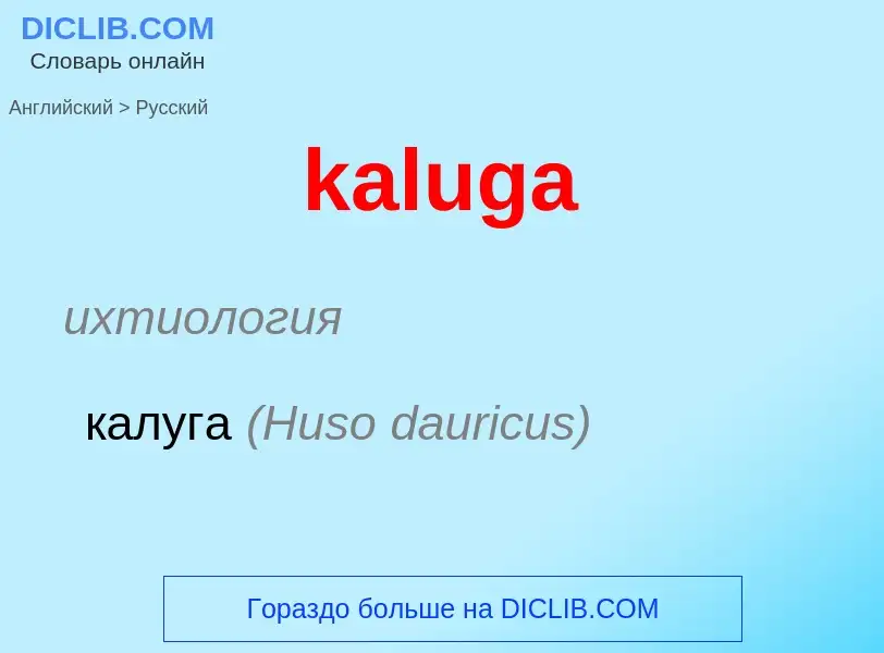 What is the Russian for kaluga? Translation of &#39kaluga&#39 to Russian