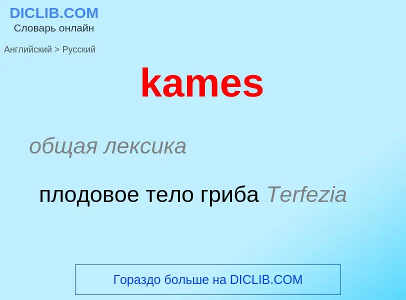 Как переводится kames на Русский язык