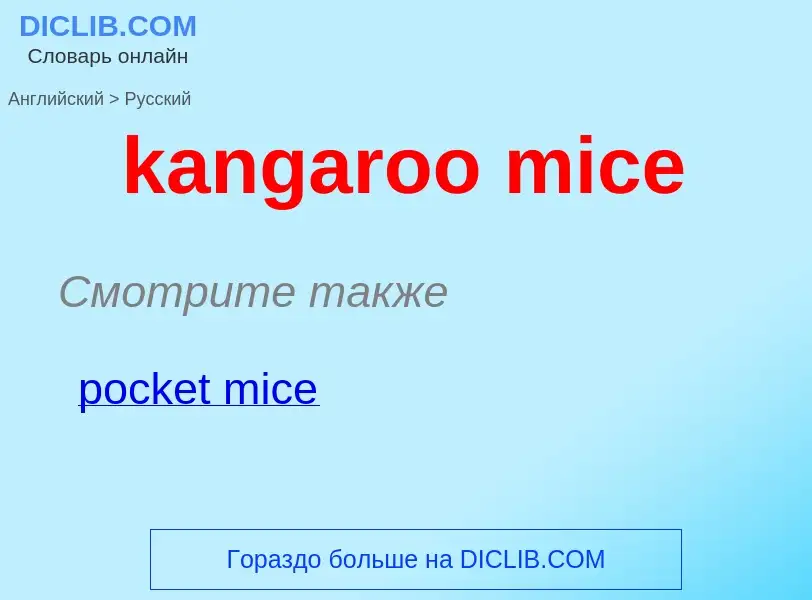 What is the Russian for kangaroo mice? Translation of &#39kangaroo mice&#39 to Russian