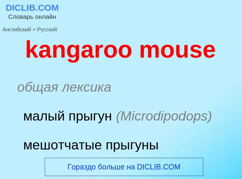 Как переводится kangaroo mouse на Русский язык