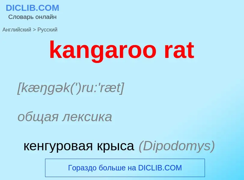 Как переводится kangaroo rat на Русский язык