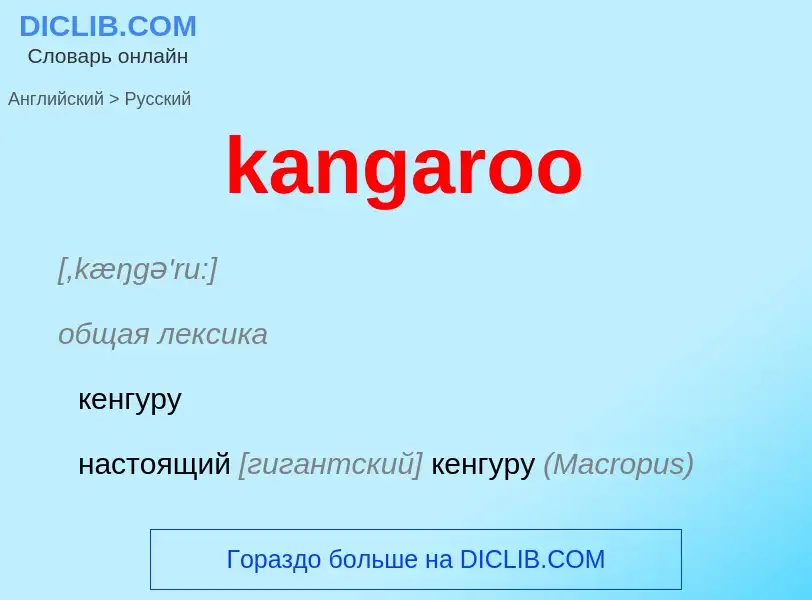 What is the Russian for kangaroo? Translation of &#39kangaroo&#39 to Russian