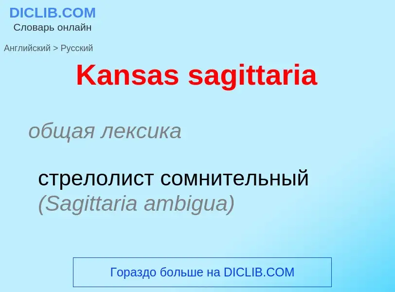 Как переводится Kansas sagittaria на Русский язык