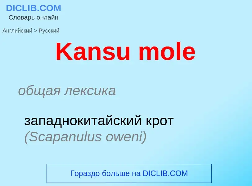 Как переводится Kansu mole на Русский язык