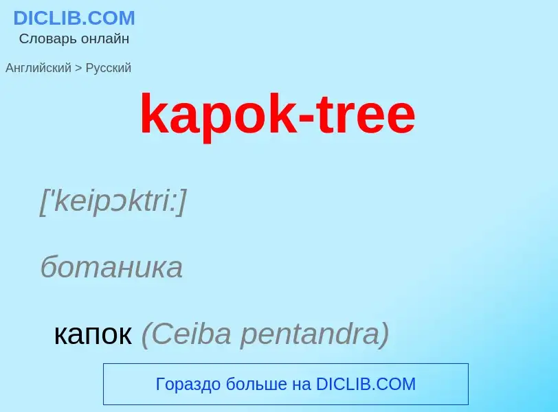 Как переводится kapok-tree на Русский язык