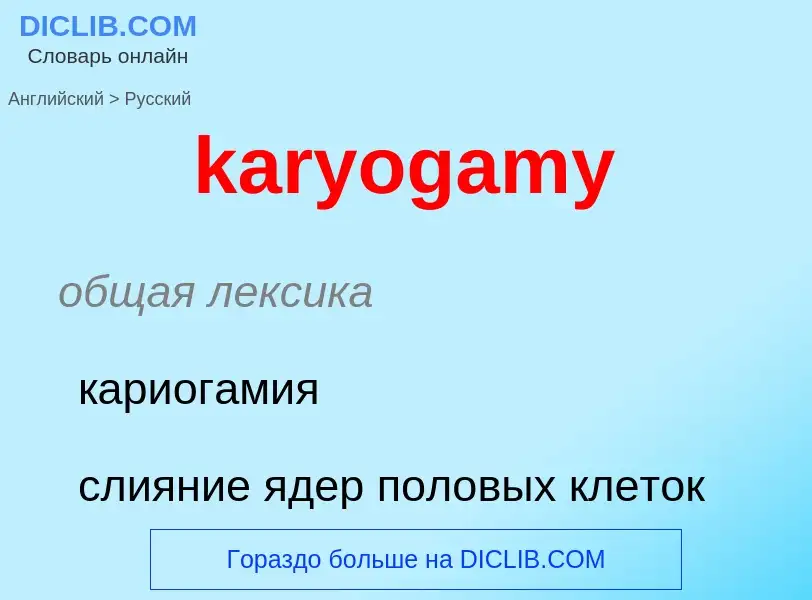 Как переводится karyogamy на Русский язык