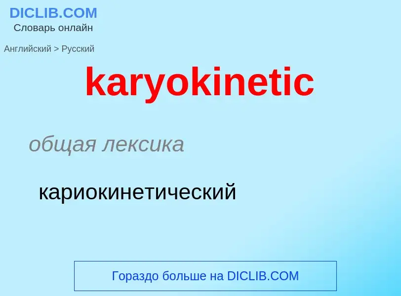 Как переводится karyokinetic на Русский язык