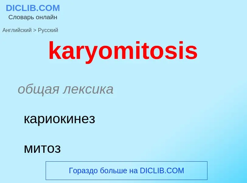 Как переводится karyomitosis на Русский язык