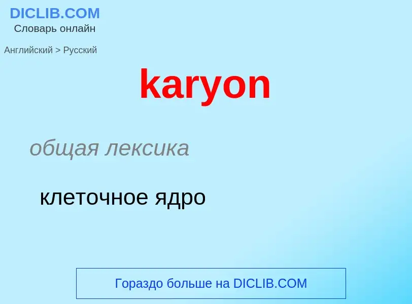 Как переводится karyon на Русский язык