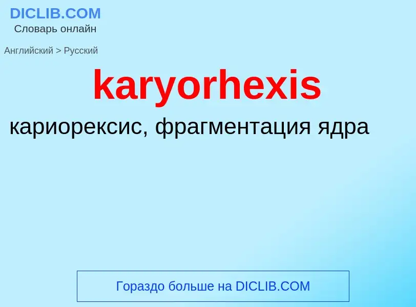 What is the Russian for karyorhexis? Translation of &#39karyorhexis&#39 to Russian