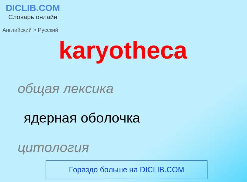 Как переводится karyotheca на Русский язык