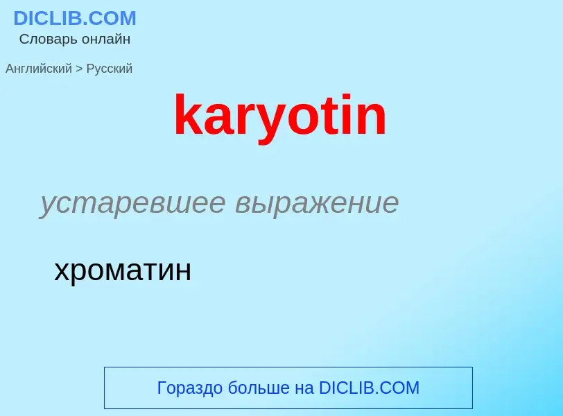 Как переводится karyotin на Русский язык