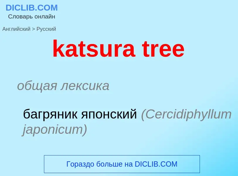 What is the Russian for katsura tree? Translation of &#39katsura tree&#39 to Russian