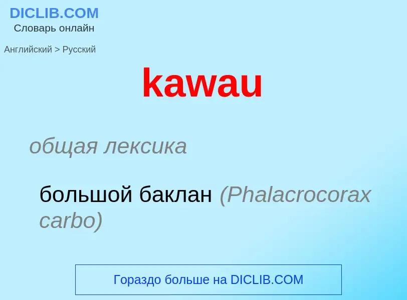 Как переводится kawau на Русский язык