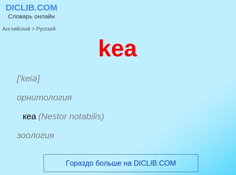 Как переводится kea на Русский язык