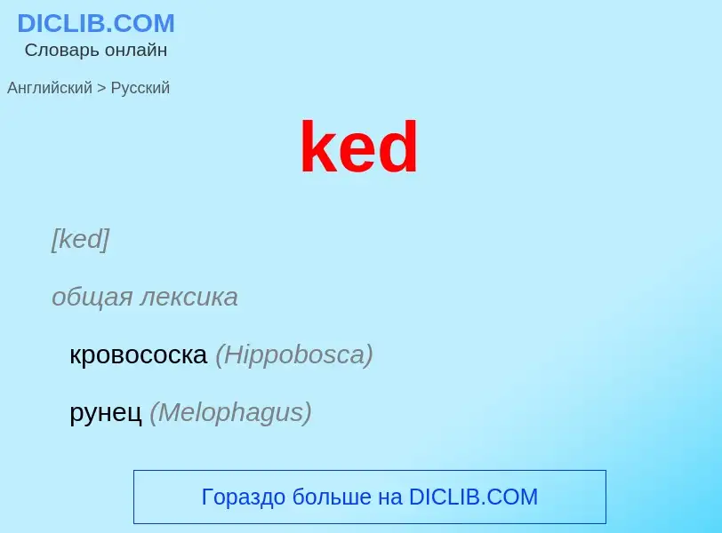 Как переводится ked на Русский язык