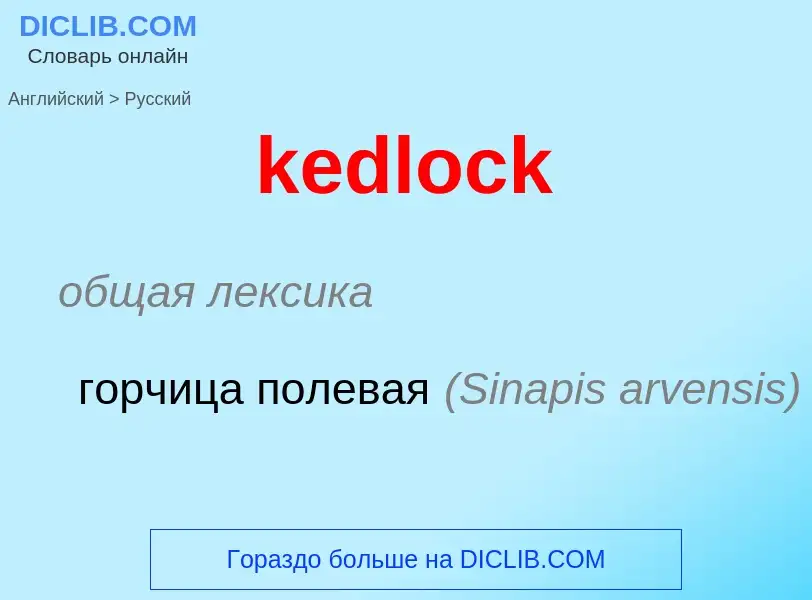 Как переводится kedlock на Русский язык