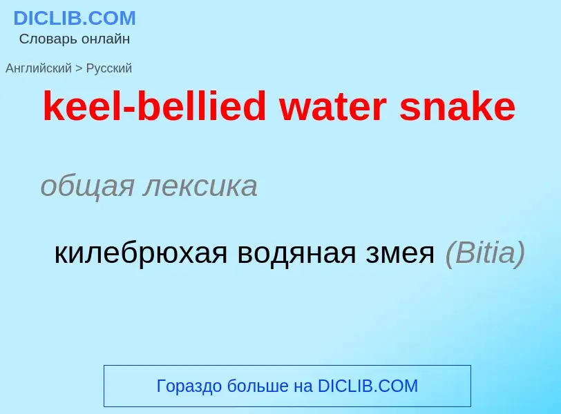 Как переводится keel-bellied water snake на Русский язык