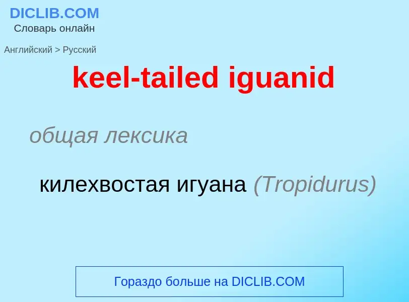 Как переводится keel-tailed iguanid на Русский язык