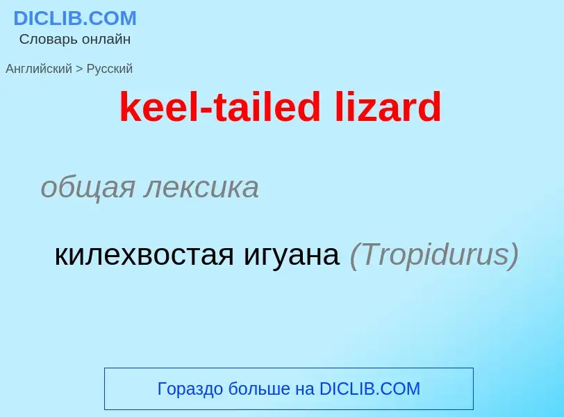 Как переводится keel-tailed lizard на Русский язык