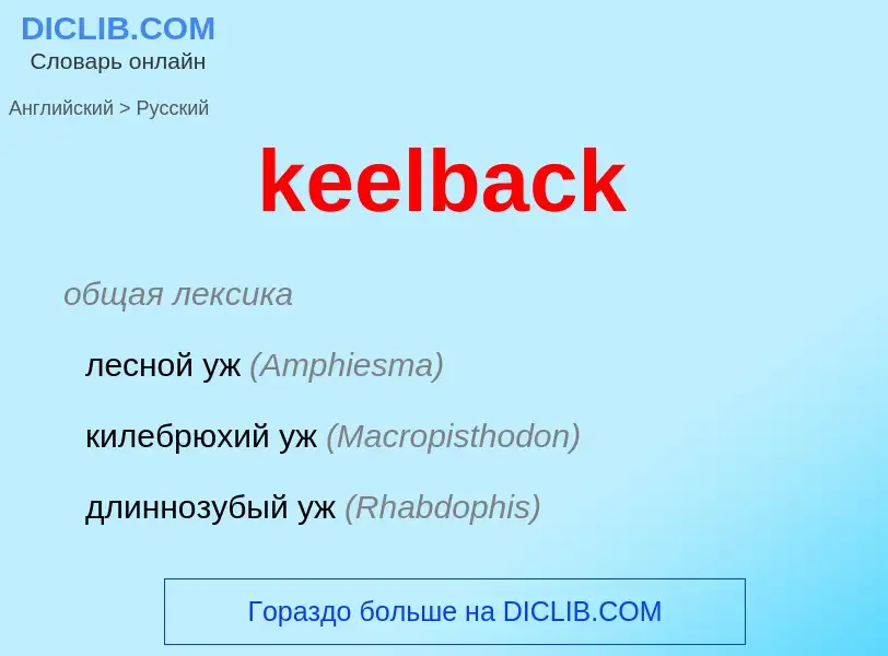 ¿Cómo se dice keelback en Ruso? Traducción de &#39keelback&#39 al Ruso