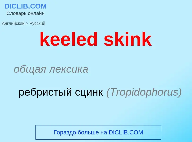 Как переводится keeled skink на Русский язык