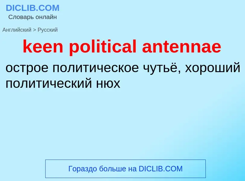 Как переводится keen political antennae на Русский язык