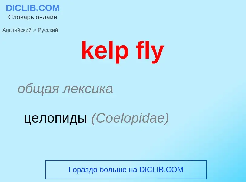 ¿Cómo se dice kelp fly en Ruso? Traducción de &#39kelp fly&#39 al Ruso