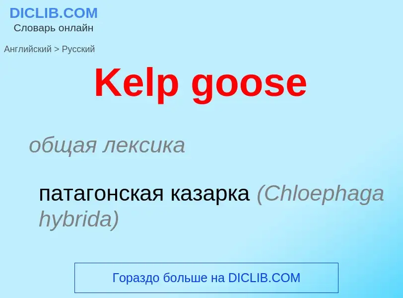 Как переводится Kelp goose на Русский язык