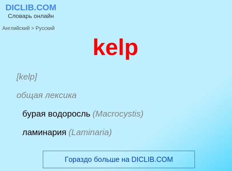 ¿Cómo se dice kelp en Ruso? Traducción de &#39kelp&#39 al Ruso