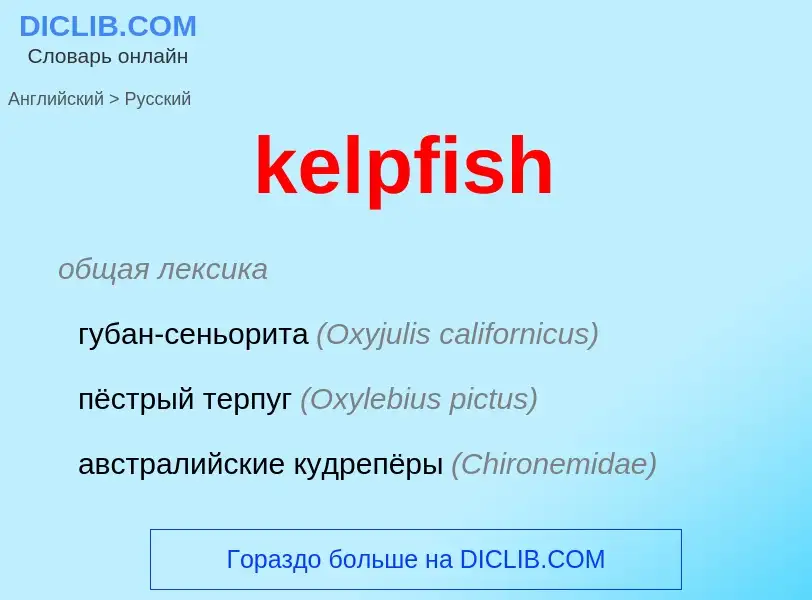 ¿Cómo se dice kelpfish en Ruso? Traducción de &#39kelpfish&#39 al Ruso