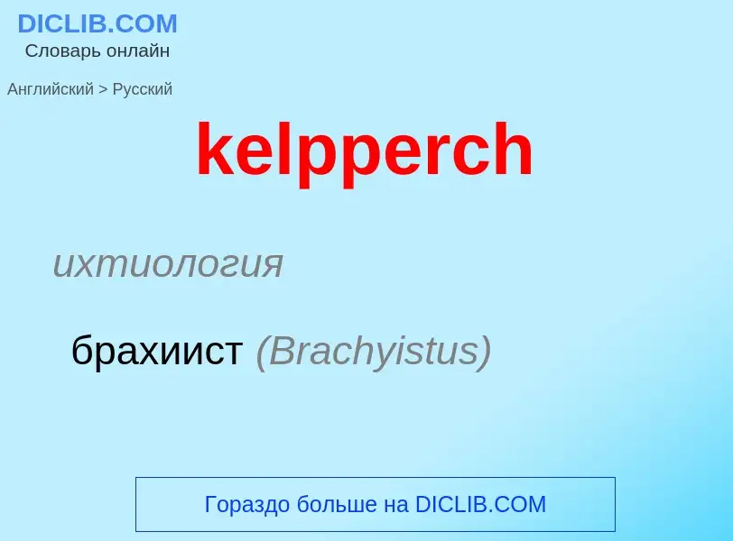 ¿Cómo se dice kelpperch en Ruso? Traducción de &#39kelpperch&#39 al Ruso