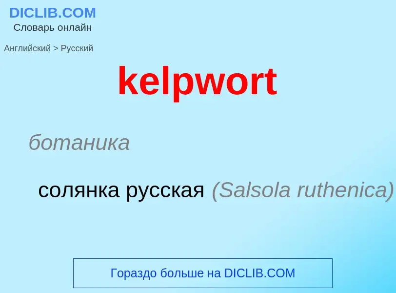 ¿Cómo se dice kelpwort en Ruso? Traducción de &#39kelpwort&#39 al Ruso