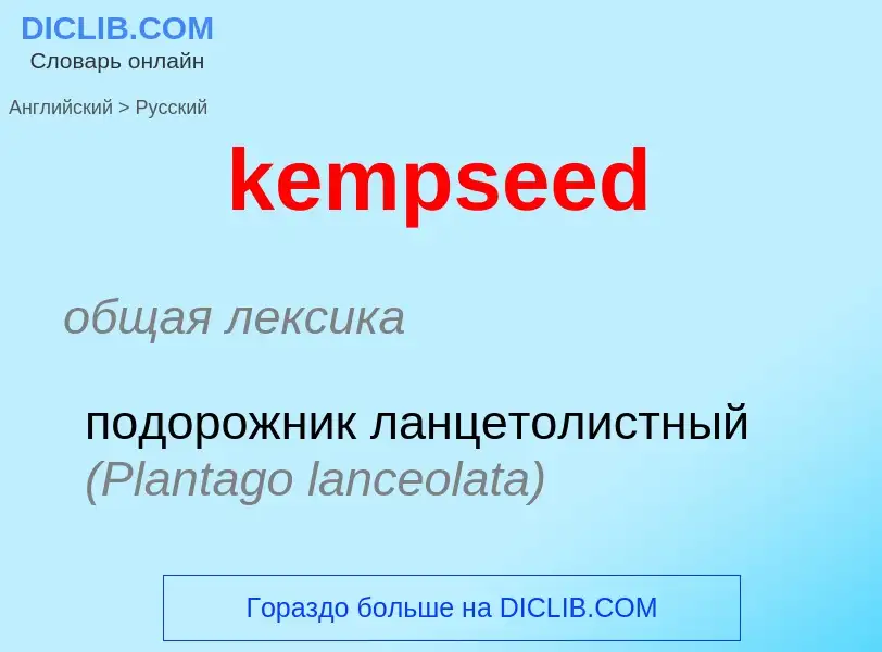 ¿Cómo se dice kempseed en Ruso? Traducción de &#39kempseed&#39 al Ruso