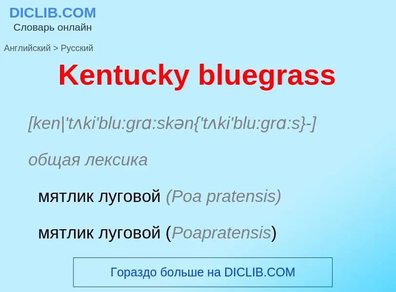 Vertaling van &#39Kentucky bluegrass&#39 naar Russisch