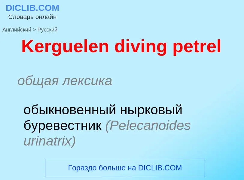 What is the Russian for Kerguelen diving petrel? Translation of &#39Kerguelen diving petrel&#39 to R