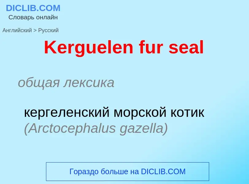 Traduzione di &#39Kerguelen fur seal&#39 in Russo