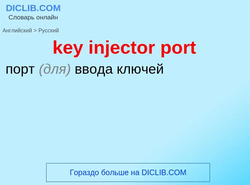 Как переводится key injector port на Русский язык