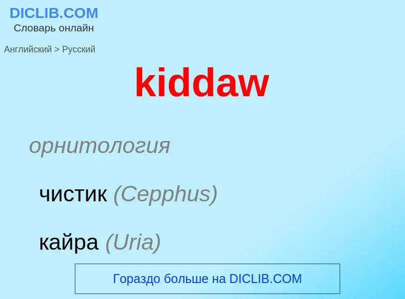 Как переводится kiddaw на Русский язык