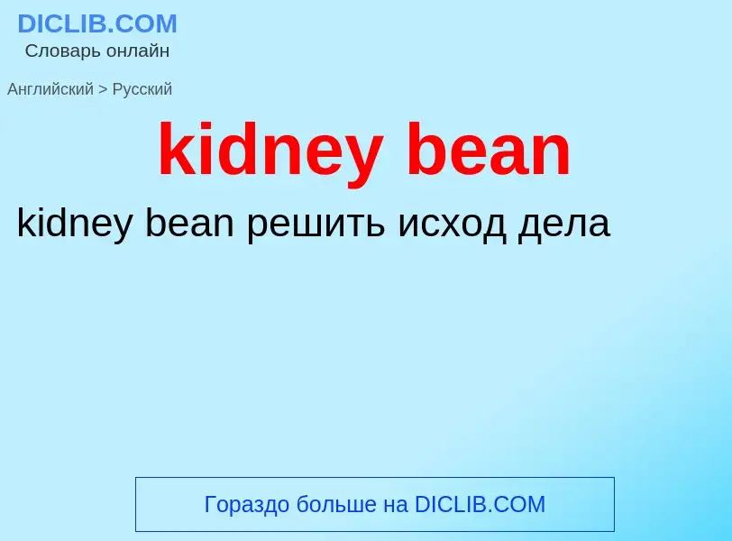 Как переводится kidney bean на Русский язык