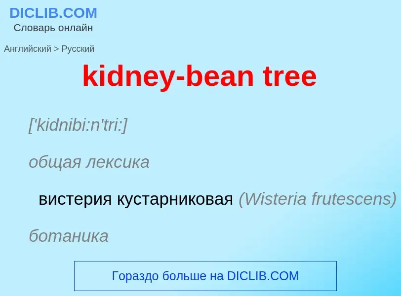 ¿Cómo se dice kidney-bean tree en Ruso? Traducción de &#39kidney-bean tree&#39 al Ruso