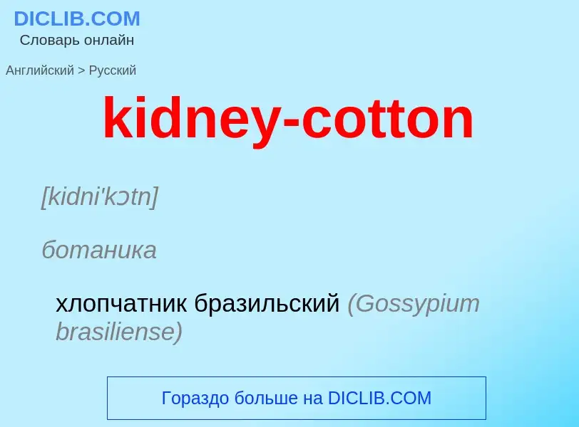 Как переводится kidney-cotton на Русский язык