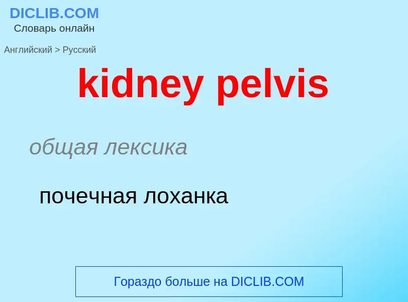 ¿Cómo se dice kidney pelvis en Ruso? Traducción de &#39kidney pelvis&#39 al Ruso