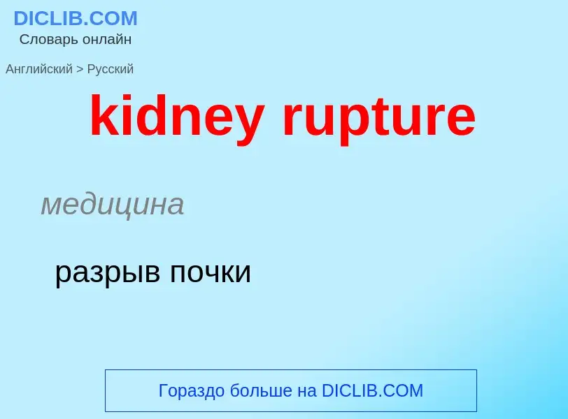 Как переводится kidney rupture на Русский язык