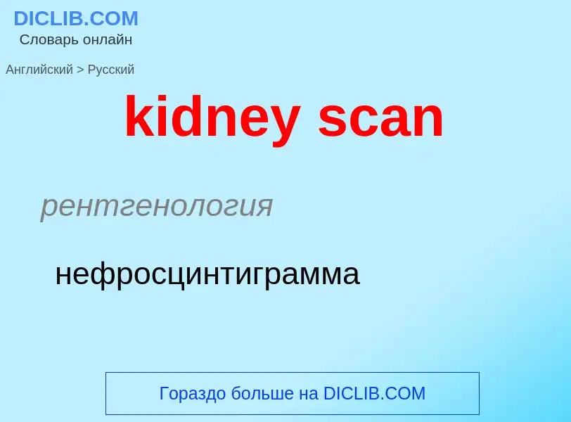 ¿Cómo se dice kidney scan en Ruso? Traducción de &#39kidney scan&#39 al Ruso