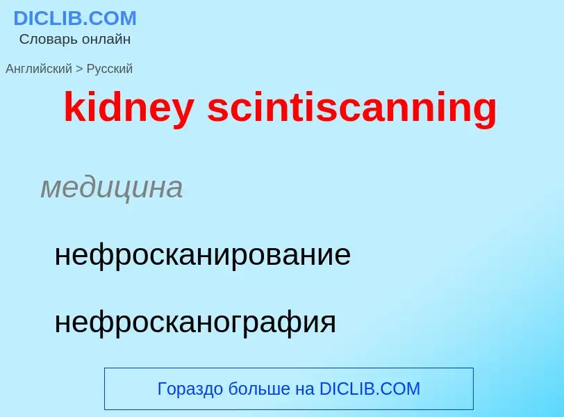 ¿Cómo se dice kidney scintiscanning en Ruso? Traducción de &#39kidney scintiscanning&#39 al Ruso