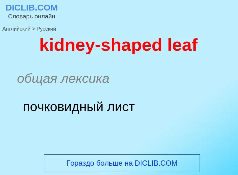 ¿Cómo se dice kidney-shaped leaf en Ruso? Traducción de &#39kidney-shaped leaf&#39 al Ruso