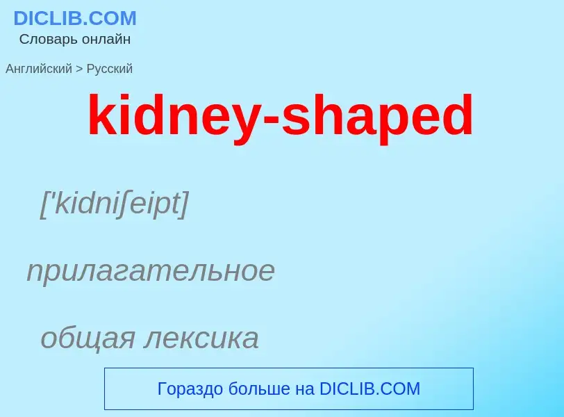 Как переводится kidney-shaped на Русский язык