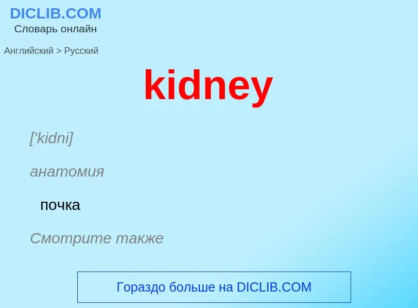 ¿Cómo se dice kidney en Ruso? Traducción de &#39kidney&#39 al Ruso