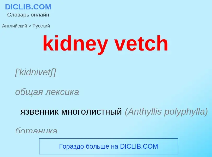 ¿Cómo se dice kidney vetch en Ruso? Traducción de &#39kidney vetch&#39 al Ruso